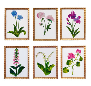 PAPER BOTANICALS