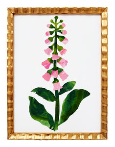 Foxglove