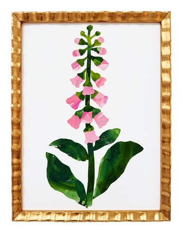 Foxglove