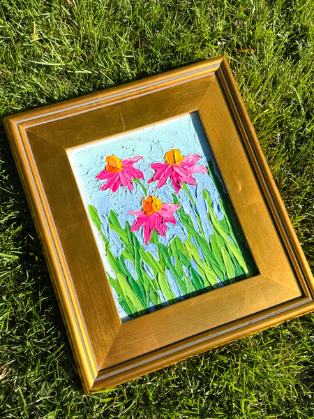 Coneflowers