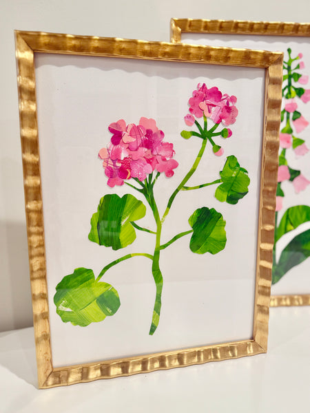 Geranium