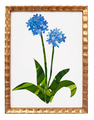 Lily of the Nile