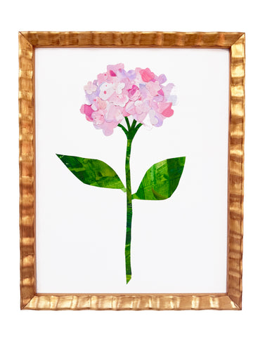 Blushing Bride Hydrangea