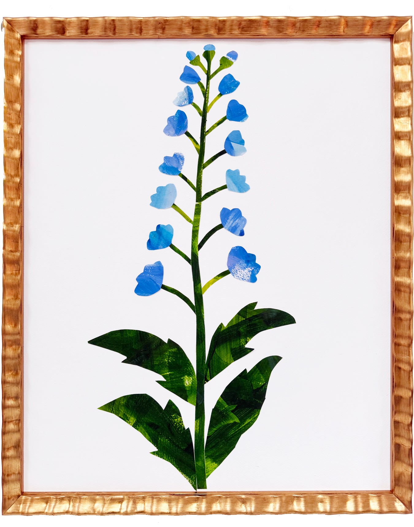 Large Delphinium