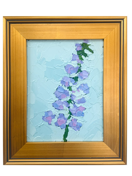 Delphinium