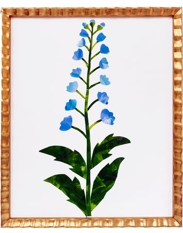 Large Delphinium