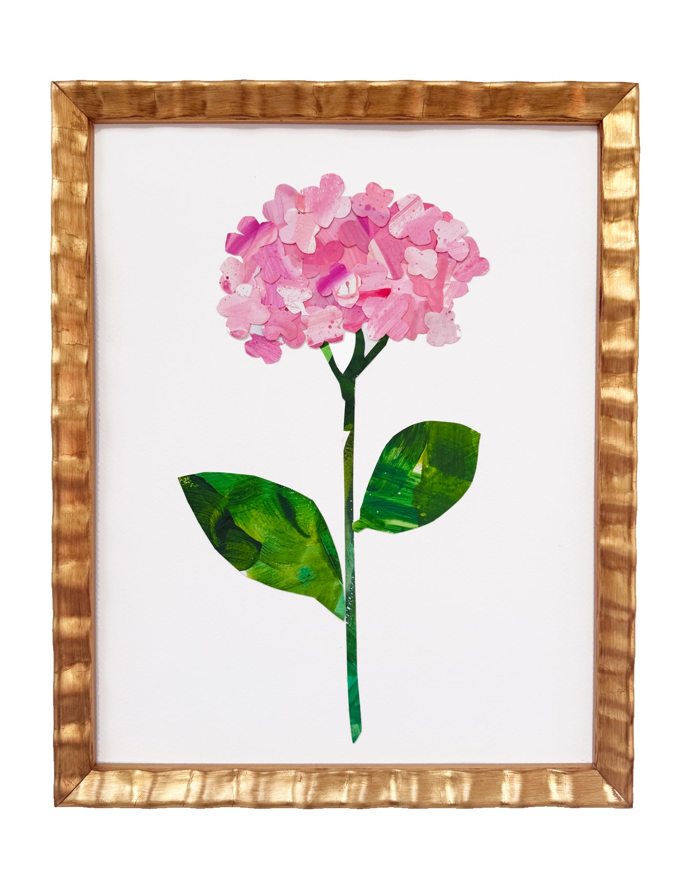 Endless Summer Pink Hydrangea