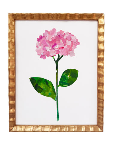 Endless Summer Pink Hydrangea