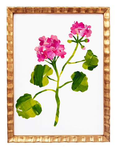 Geranium