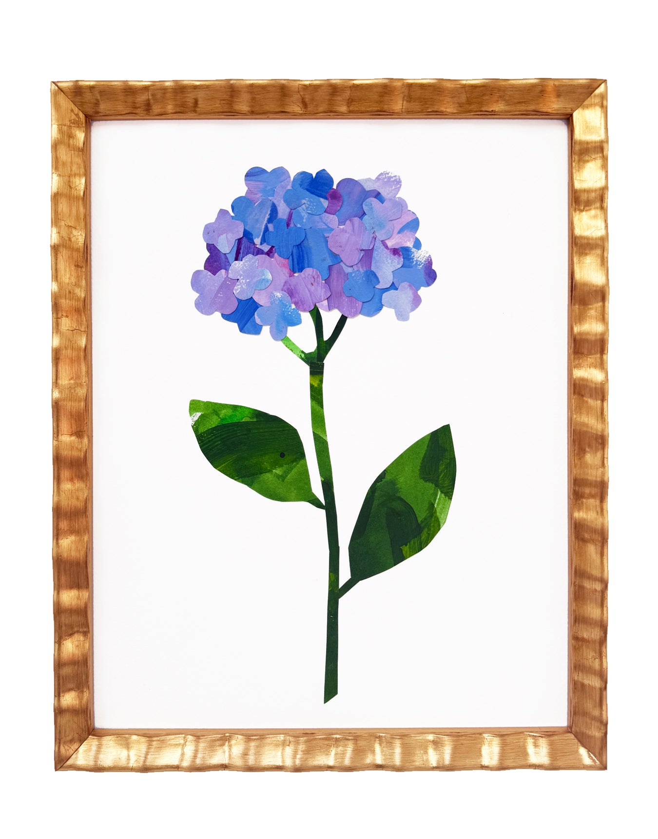 Nikko Blue Hydrangea