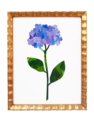 Nikko Blue Hydrangea