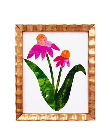 Petite Coneflower
