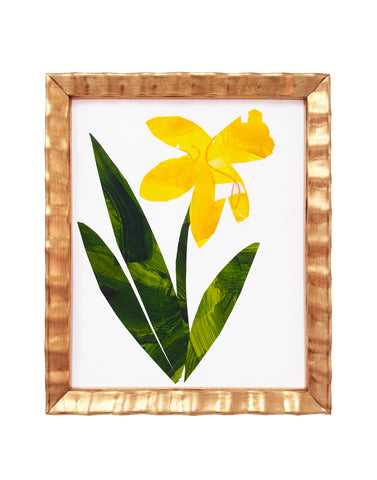 Petite Daffodil