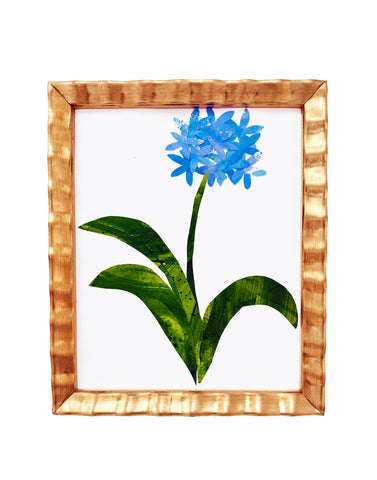 Petite Lily of the Nile