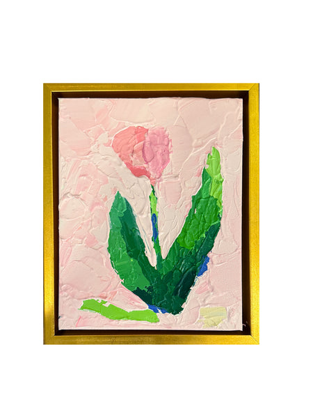 Pink Tulip